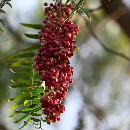 Casa La Moringa Σπίτι διακοπών